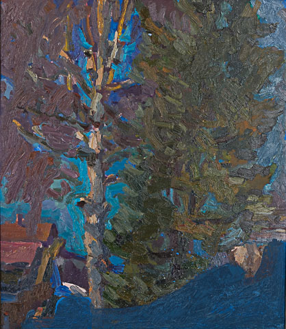 A native birch, with a silver trunk. Oil on canvas, H 54 x W 47 cm (H 21.3 x W 18.5 inches). 2009